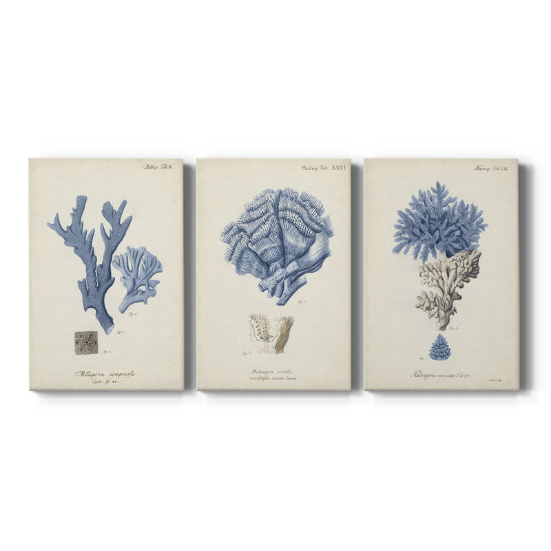 Indigo Botany Study I  -Custom Wrapped Gallery Canvas - 3 Pieces, 48" H x 96" W