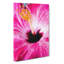 A Pink Flower - Wrapped Canvas Painting-61854688