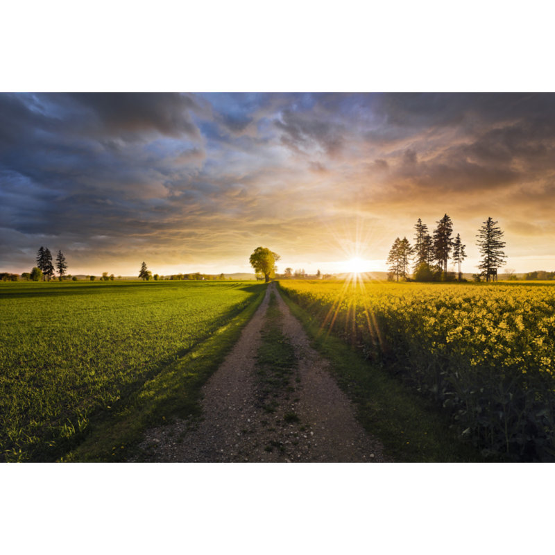 Wrapped Canvas Print, 50.8 cm H x 76.2 cm W