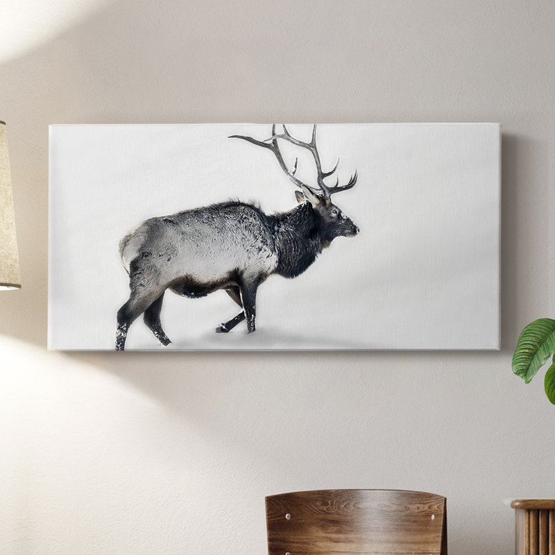 «Lone Bull» - Toile tendue avec châssis - Prêt à accrocher, H 16 po x l 32 po
