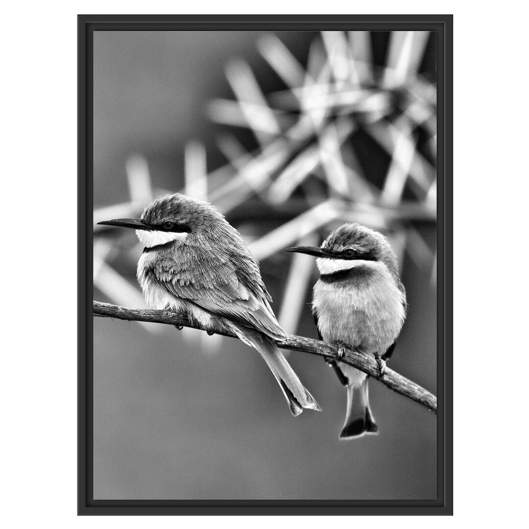 Gerahmtes Wandbild exotische Vögel auf Ast