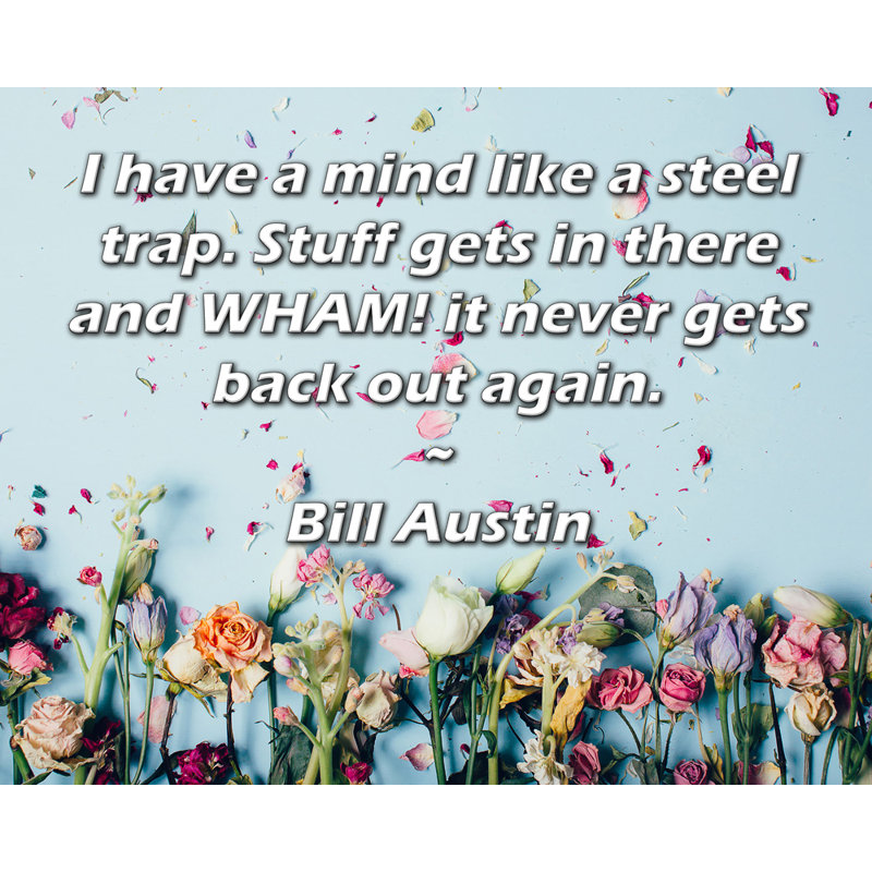 ArtsyQuotes Gallery Wrapped Canvas By Bill Austin: "I have a mind like a steel trap. Stuff gets in there and WHAM! it never gets back out again."