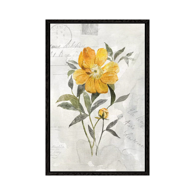 Canary Linen Peony by Carol Robinson - Print on Canvas, 152.5 cm H x 101.5 cm W, Black Framed