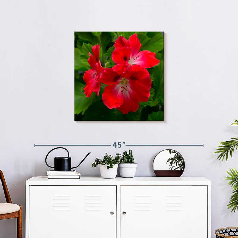 Fleurs d'hibiscus rouges, H 24 po x l 24 po