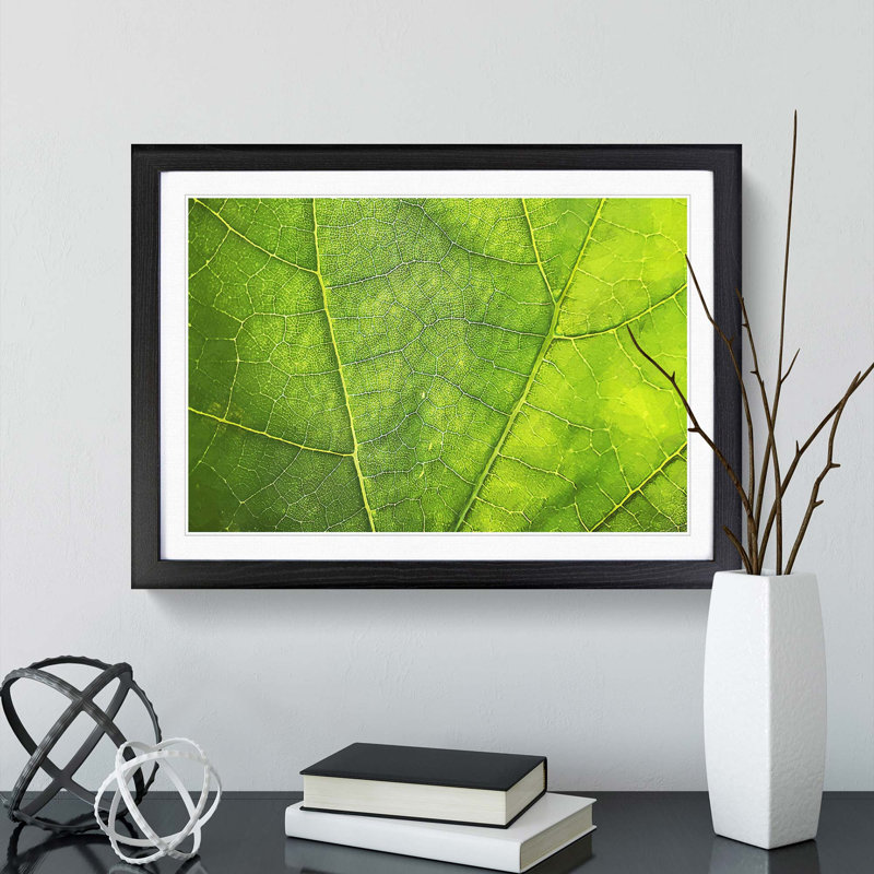 Veins of a Leaf - Picture Frame Photograph Print, Black, 50cm H x 76cm W x 2cm D