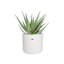 B.For Pot Planter-37904857-70004569