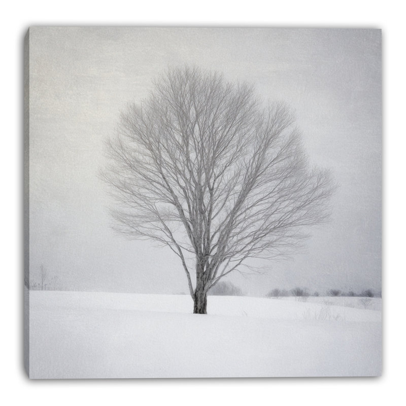 «Silent Tree», art mural sur toile tendue, L 40 po x H 40 po x P 1,5 po