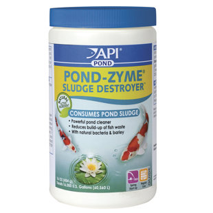 Nettoyant pour étang enzymatique à orge-zyme