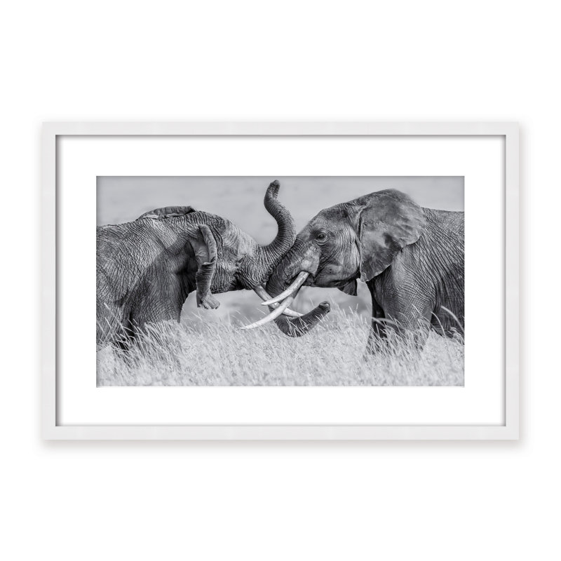 Nature Inspired Elephant Tai Chi by  - Picture Frame Photograph on Paper, Framed Canvas, 16" H x 24" W x 2.375" D, White