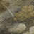 Premium Machine Washable Cerrito Taupe Rug-105698169