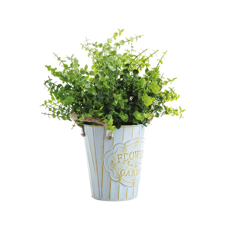 Ensemble 3 pièces d'eucalyptus artificiel en pot
