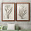 «Sepia Exotic Plants VII», ensemble de 2 reproductions d'art sur papier encadré-620715072-620715075