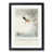 Black Framed selected