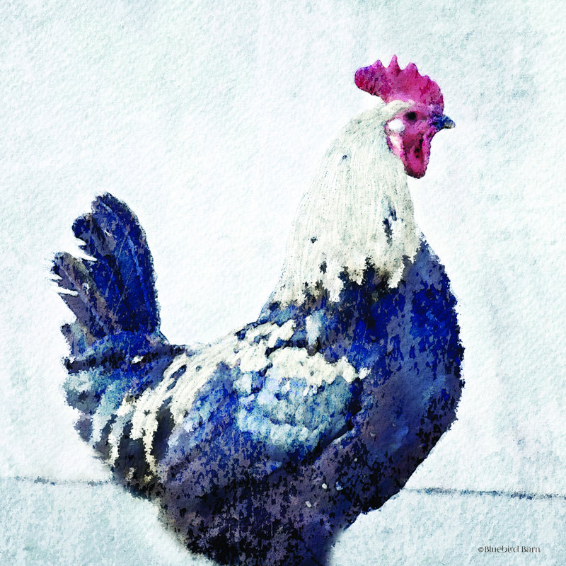 «Rooster Blue» par Bluebird Barn - impression, H 12 po x l 12 po, Toile tendue