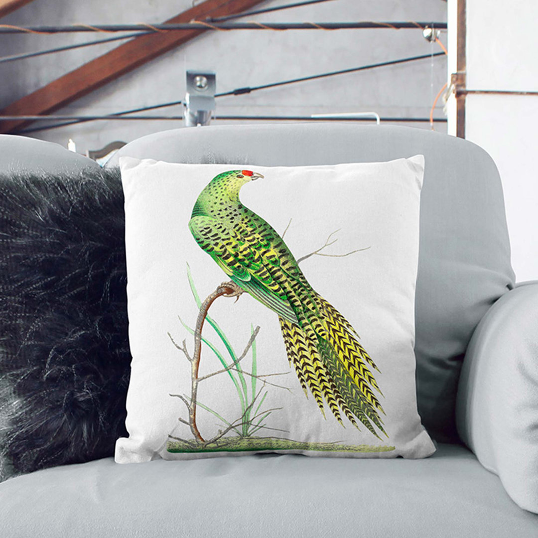 Ground Parrot by George Shaw Cushion with Filling