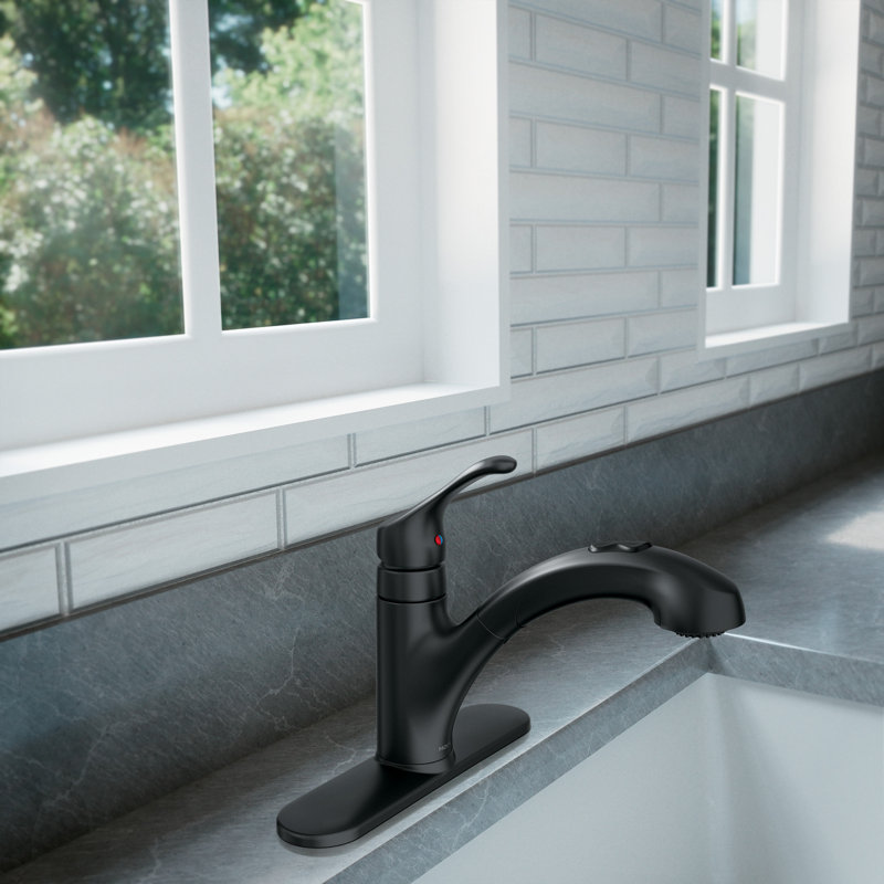 MOEN Renzo Spot Resist Stainless 9 in. H Pull Out Sprayer Kitchen Faucet with 360° Spout Swivel and PowerClean, Matte Black
