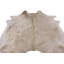 One-of-a-Kind 82 Hand Knotted Area Rug