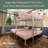 Adaidh Twin over Twin over Full Triple Bunk Bed with Shelves by Isabelle & Max-780369995