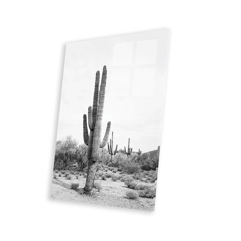 Cactus du désert en noir et blanc par Sissi & Seb - impression sans cadre, H 32 po x l 24 po x P 0,25 po