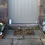 Eisley Non-Slip Outdoor Doormat