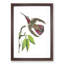 Purple-Tailed Hummingbird by George Shaw - Picture Frame Painting Print-55616584-55616585