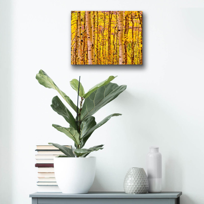 «Aspen Autumn» par Mark A Paulda, H 12 po x l 16 po x P 0,13 po