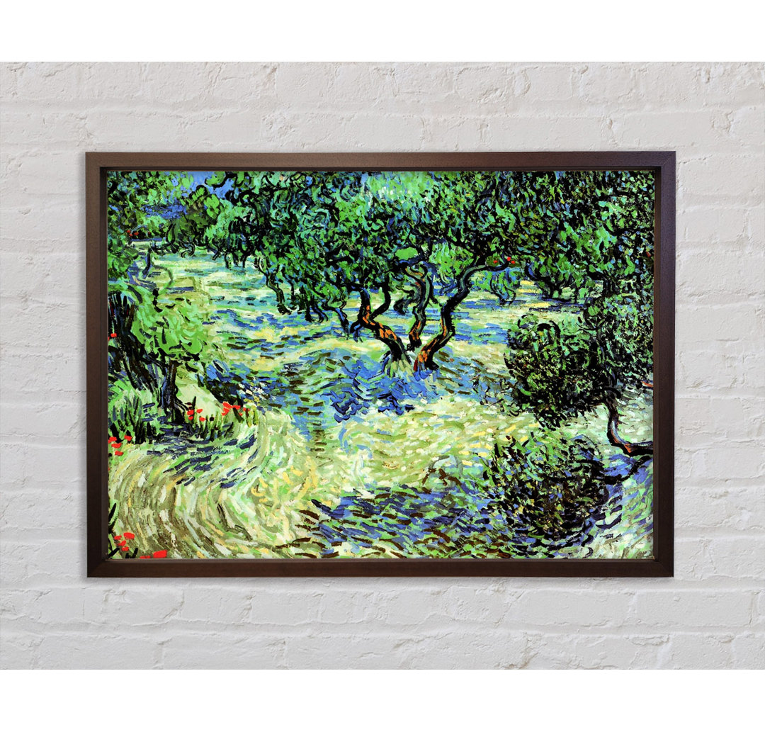 Olivenhain 2 von Vincent Van Gogh - Einzelner Bilderrahmen Kunstdrucke auf Leinwand