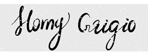 Homy Grigio Logo