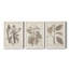 Ensemble de 3 cadres photo sur toile Midnight Tulip V-981462662-981462673