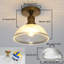 1 - Light Chandelier