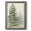 " Majestic Pine I "-888775073