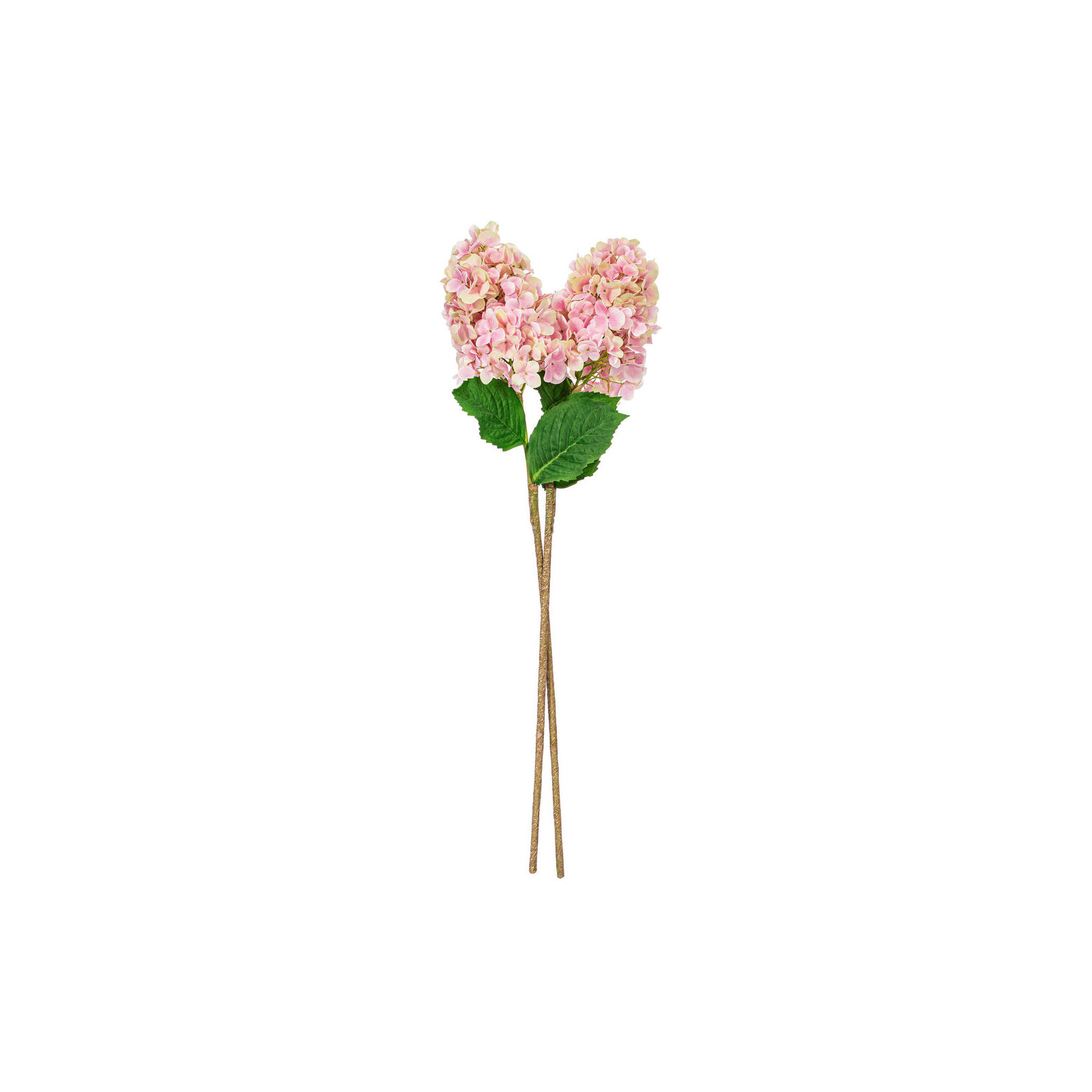 Lavender Stem, Pink