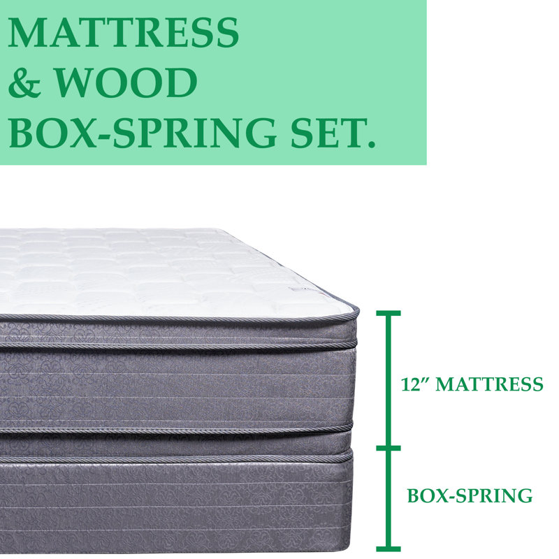 Alwyn Home Ornithogale 20'' Plush Memory Foam Mattress and Box Spring, Twin