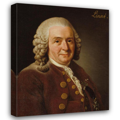 "Carl Von Linné, 1707-1778, botaniste, professeur" par Alexander Roslin - Art sur toile tendue avec châssis