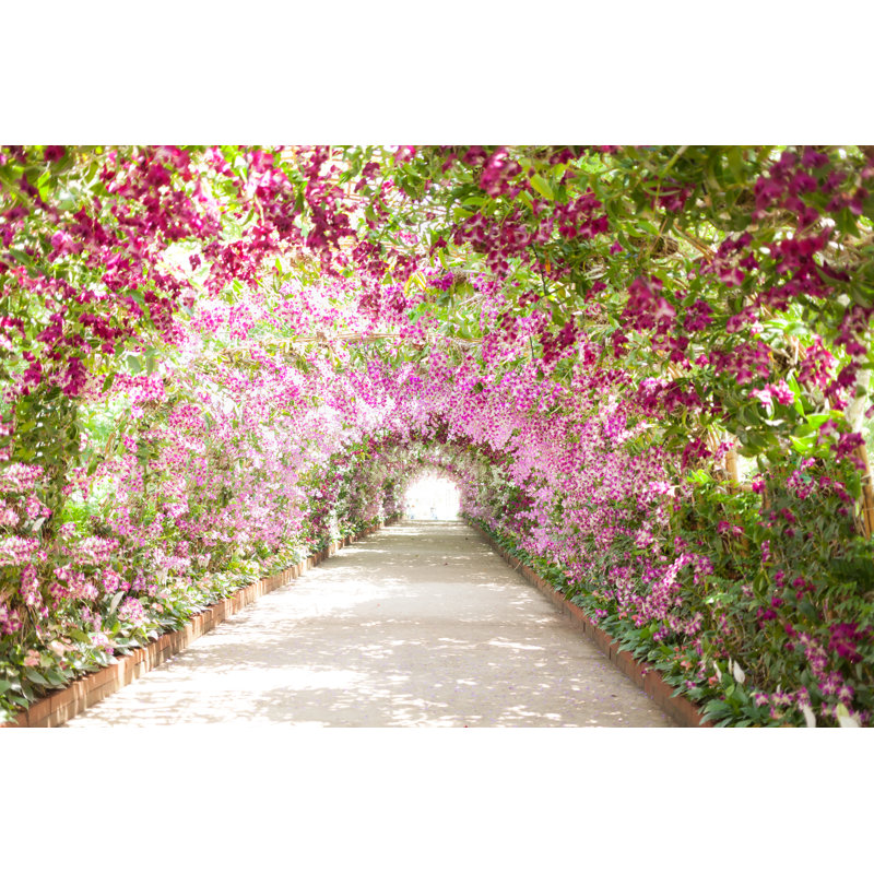 Footpath In A Botanical Garden With Orchids Lining The Path by Nopparatz - Wrapped Canvas Print, 12"H x 18"W