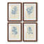 Verditer Fig I - ensemble de 4 peintures encadrées-939689372-939689361