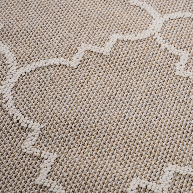 Tapis tendance à motif de treillis 5X7 Trends Trends - Teinture et non-perte de poils - Idéal pour la vie, la salle à manger, la chambre à coucher, l'entrée, la chambre de bébé, le dortoir, le bureau, la cuisine Facile à entretenir