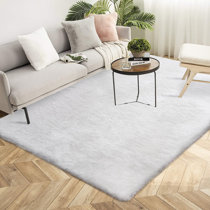 https://assets.wfcdn.com/im/45917748/resize-h210-w210%5Ecompr-r85/2155/215537512/Damboise+Faux+Fur+White+Rug.jpg