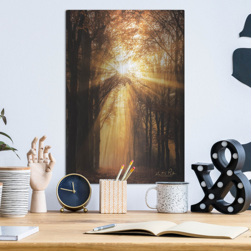 «Sunburst» par Martin Podt, H 16 po x l 12 po