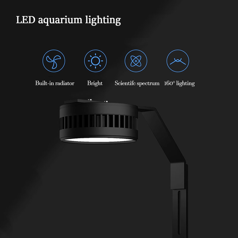 Petit aquarium à filtration de fond 15,75 po Golden, 21,13 gallons (H 47,24 po x l 15,75 po x P 15,75 p