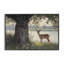 «Sp Spot Doe» par Lake, estampe numérique, design par Franklyn Gregory-64338686-64338687