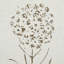 Metal Relief Floral Home Wall Decor with Gold Detailing