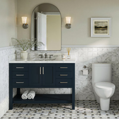Moille 49" Single Bathroom Vanity Set
