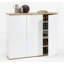 Mundi 30 Pair Shoe Storage Cabinet