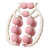 Pink est en rupture de stock