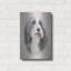 «Muffin» par Janet Pidoux-1539339489