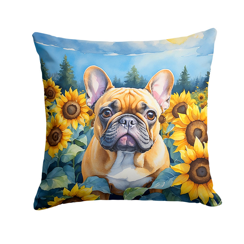 Coussin décoratif autre / sans motif, H 18 po x l 18 po