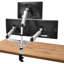 Support de bureau multi-écrans Mount-it Silver, peut supporter jusqu'à 14,8 lb