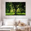 Arbre Harnek-107677805