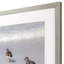 Sandpiper Reflections Framed On Print